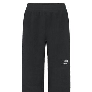 NORTH FACE X SKIMS 1995 DENALI FLEECE STRAIGHT LEG PANT! NWT LARGE BLACK